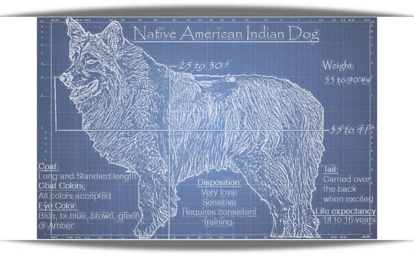 Native american best sale indian dog temperament